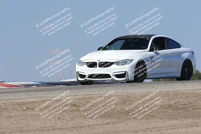 media/Oct-04-2025-OnGrid (Sat) [[44bd565ffa]]/Green Group/Grapevine/